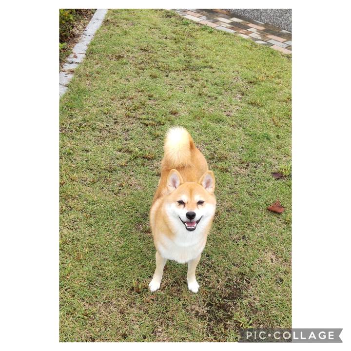 9c2bf0d0 c654 416c b0f4 a1ae4c879936 1728364103503