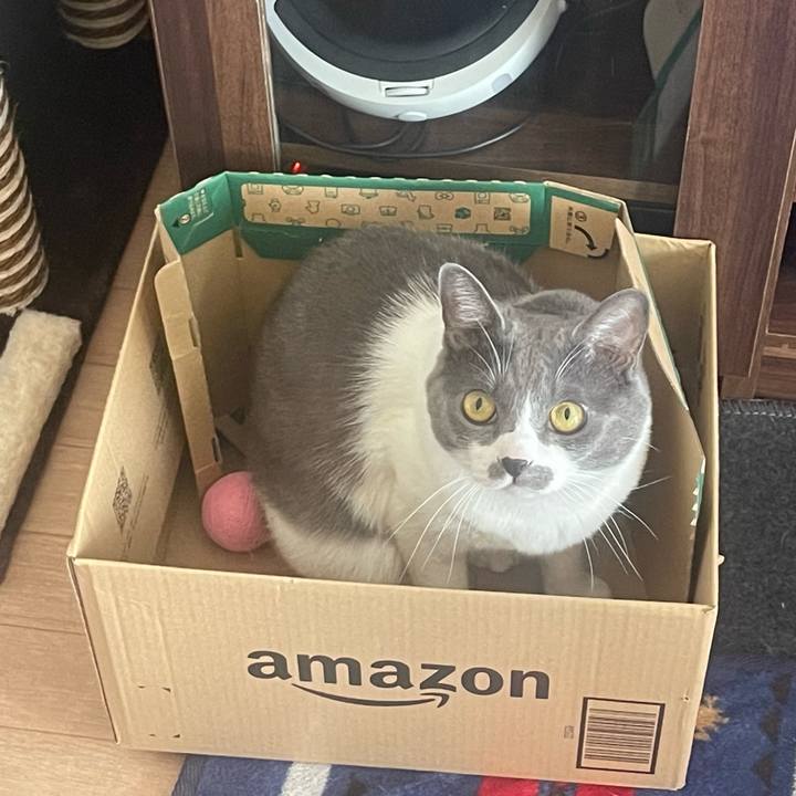 9c2c1624 62b4 4285 9cb8 b7cb322b2bc7 1667379166059