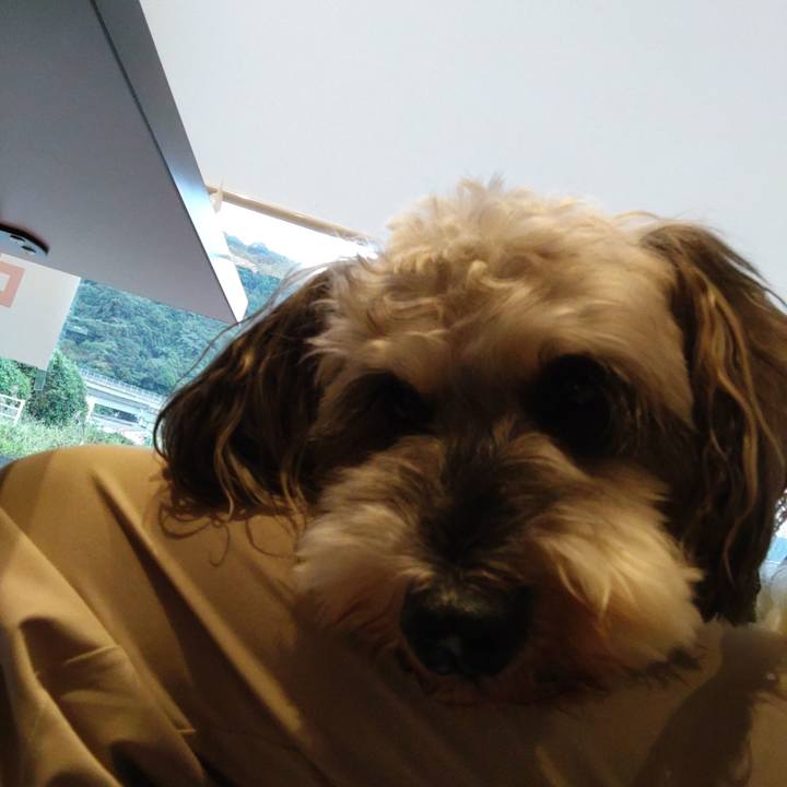 9c2c22c4 c58f 4de0 88f5 465f700046aa 1727597831013