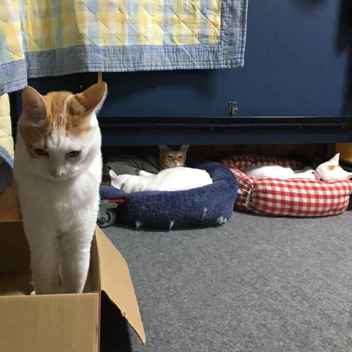 9c2c54dd 31fb 4279 85cc 6b3f2a28333d 1537726170694