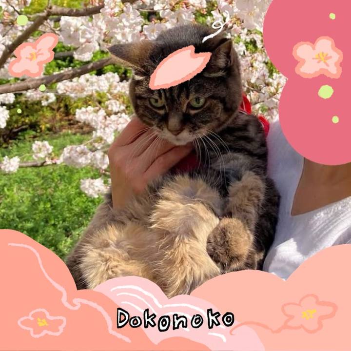 9c2c56d2 354e 4f5c 8946 5a14653ec010 1775563294836