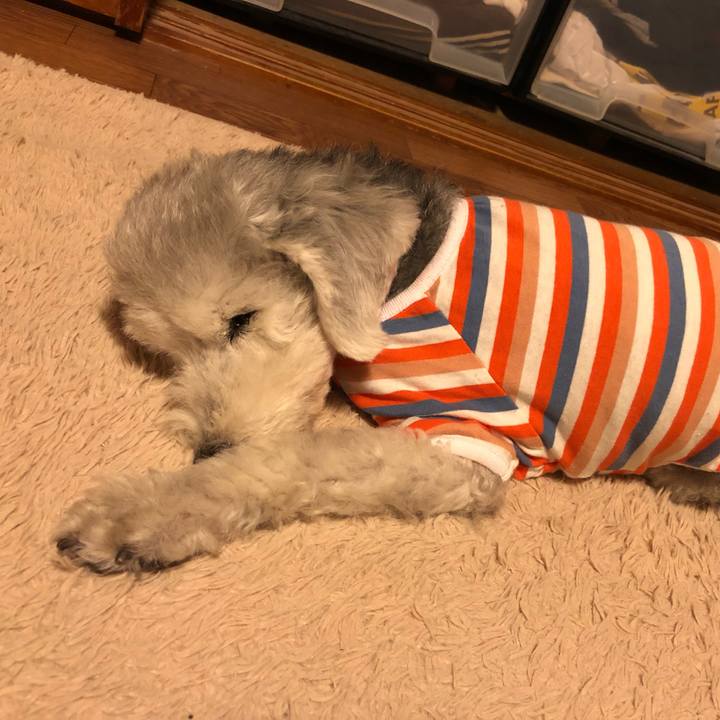 9c2c6a60 f28f 45ec af29 1053dd3290d1 1660783259641