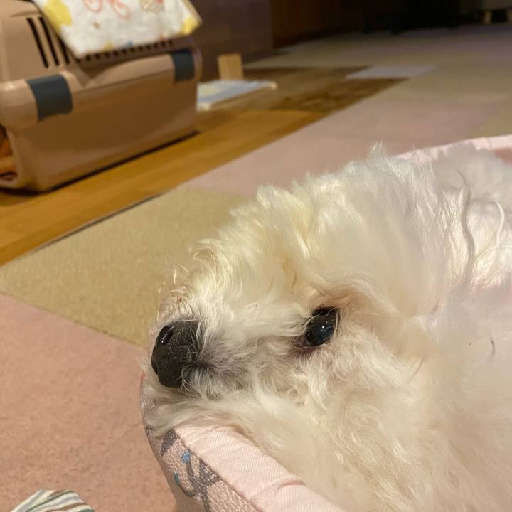 9c2c7255 aef5 4ed2 ba2c 0a0a525b6886 1735808993425