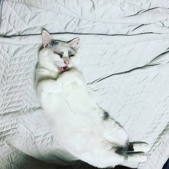 9c2c74ee 12f0 4a9b a5f6 8a2a7bd61c84 1600036977970