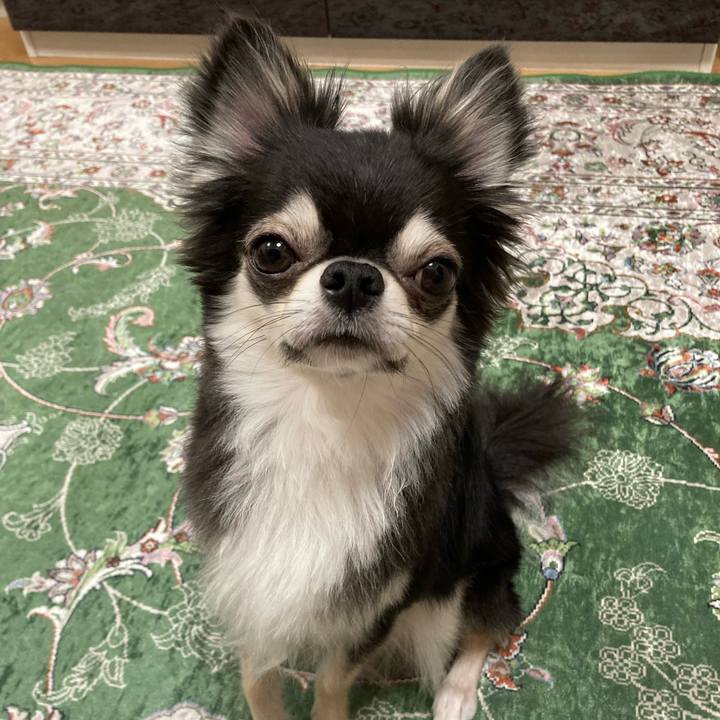 9c2c79b8 9838 4810 b503 f54daa976ec7 1656856441863