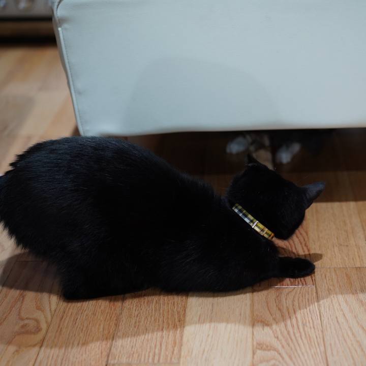 9c2c8f68 904b 4a6e af8c ee3bf986929a 1574725997778