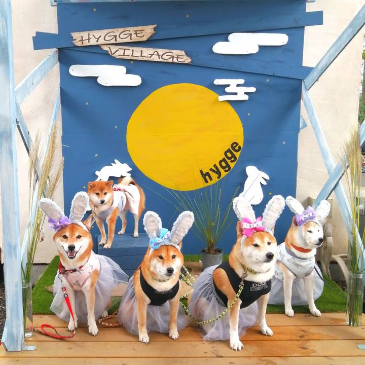 9c2cb3b5 c916 49a7 9a30 97fa1b9fdd8b 1663992327039