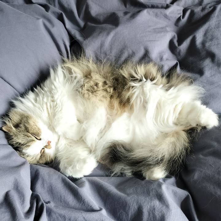 9c2d0d9c 66f4 48aa 8a7c 8386a1141886 1775375925864