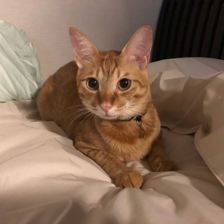 9c2d299c 836c 47a8 b288 2c3c43d713e7 1629069881885