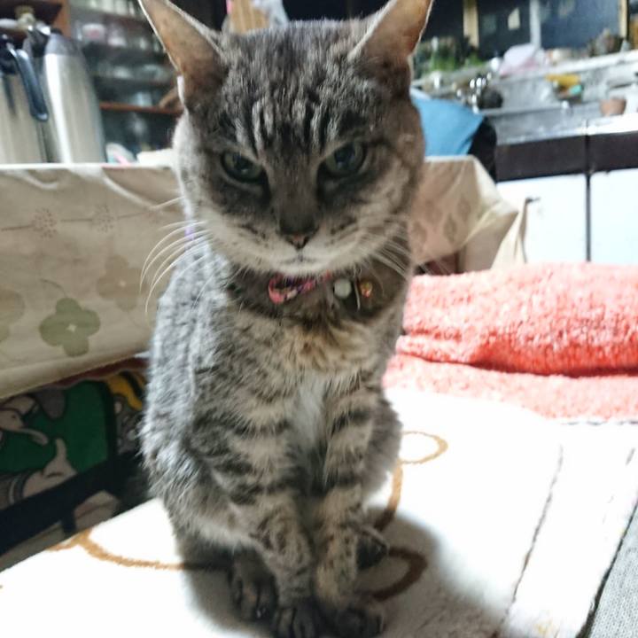 9c2d2c68 8d08 4539 b9d9 727814f55122 1580591993078