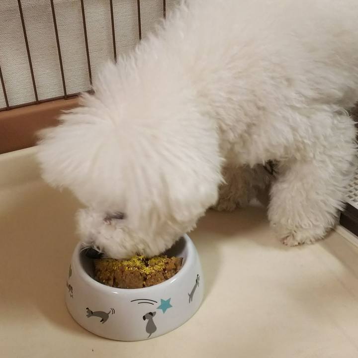 9c2d3ff4 8780 423e 82a1 d963962b316c 1511853366558