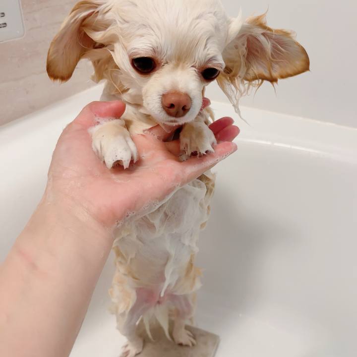 9c2d4006 2440 45b8 97a8 639a3a3f82ab 1713878154465