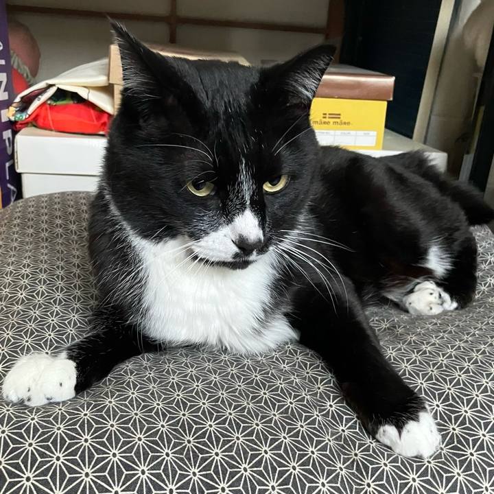 9c2d5e61 035f 4c57 967f 02577a38c32b 1748921070319