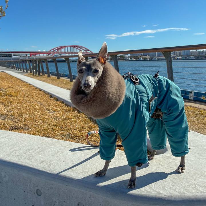 9c2d60cd 39aa 410e a59f 059c05cc7759 1773041264083