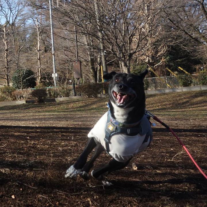 9c2d648c ab95 4cd6 82b3 dd2a8dbd4fc9 1707528332825