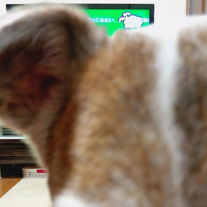 9c2d6f1c 62ba 4bf0 8579 42f4d08b0a31 1580249992232