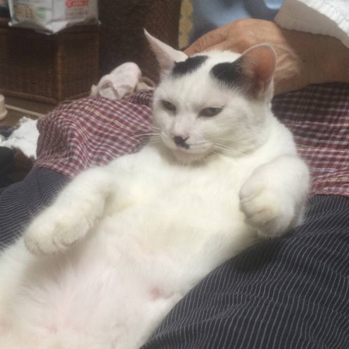 9c2d73ff 6581 46e3 aed2 19bd5621a8bf 1567338473384