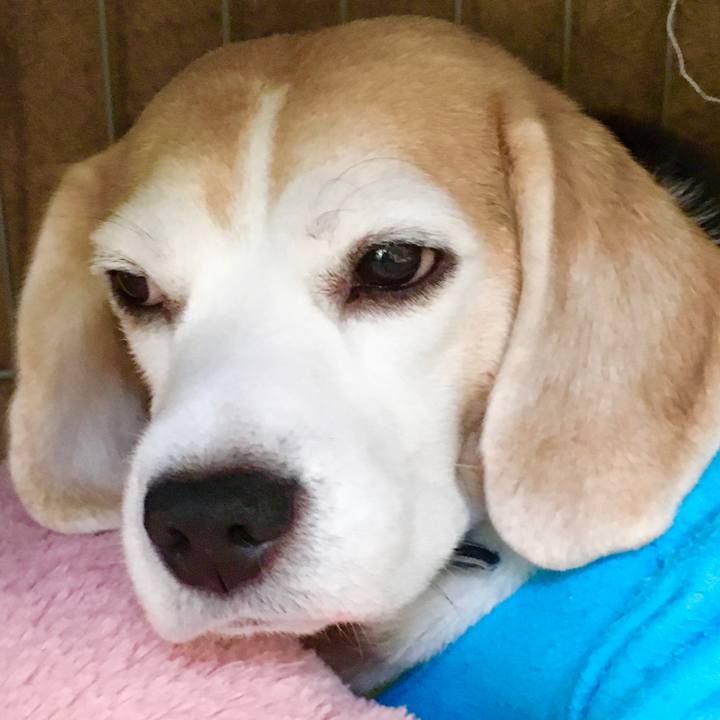 9c2da9b6 5b9c 4238 a840 a045f2e15d9e 1577425370134