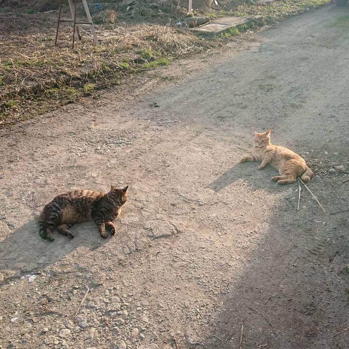 9c2e0379 25df 43f3 8b92 aa56b800199f 1649666508587