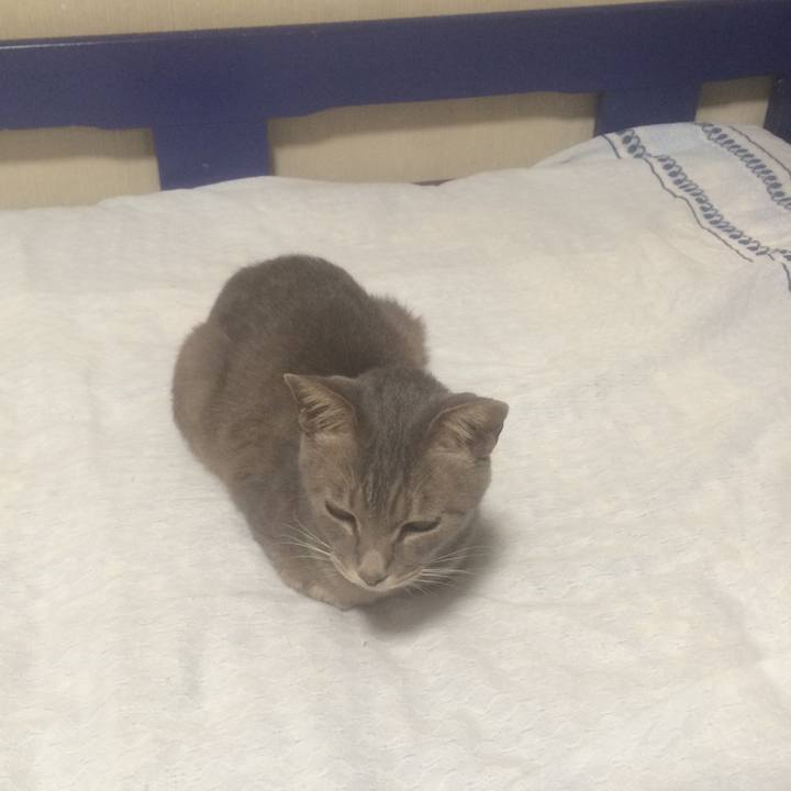 9c2e8adc 02ff 4c44 b0a4 ddd92ca6576b 1569152575409