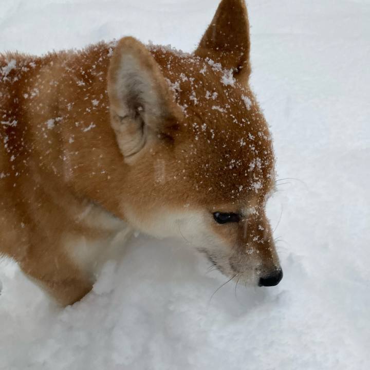 9c2e925a 43f9 4c07 a518 dc3afdbe4058 1640504919017