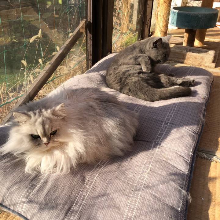 9c2ea7ca 0195 4024 a1f3 848d8ed91870 1550458088694