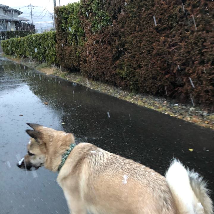 9c2eb2eb 35d1 4576 bffe 2fc2547e209b 1548490924000