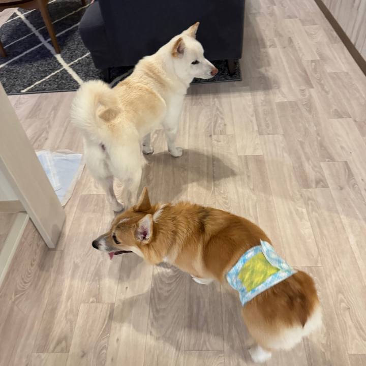 9c2ed7d8 8253 4243 8d23 dd2babe1b74a 1758973139030