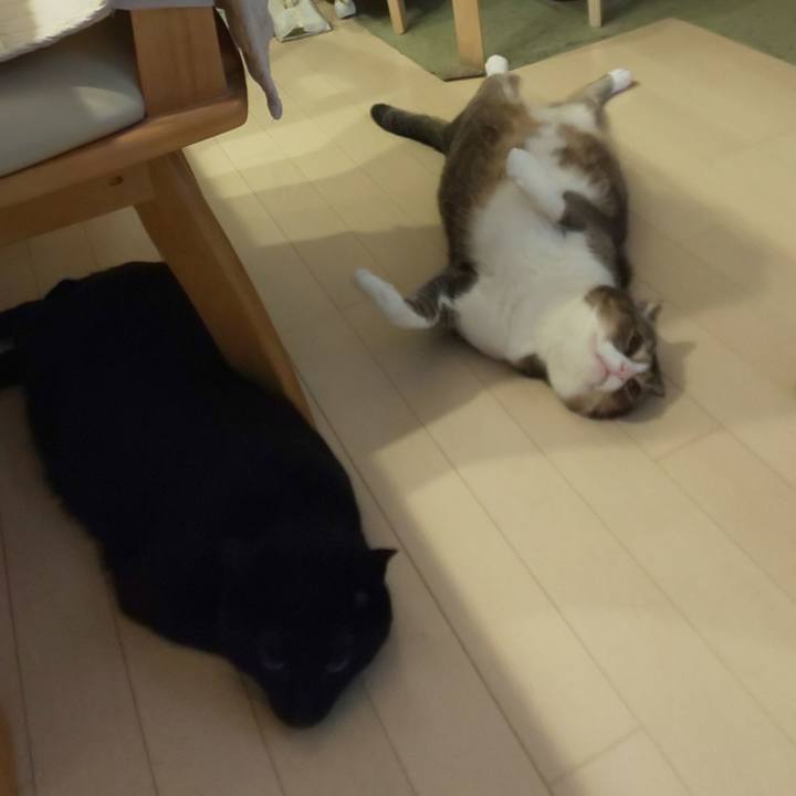 9c2ef89d 11ff 4d8a 9f84 8dca277ad382 1574289957861