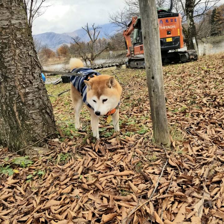 9c2f9eec eb95 4d93 8fb5 0ce8a9db2424 1637898279939