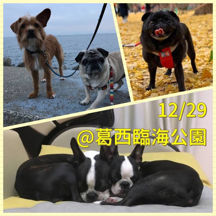 9c2fb454 638a 4c5c 8067 d0372a3d79ac 1544166052247