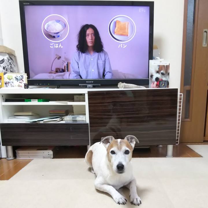 9c2fd492 4bb5 4742 b4a0 8103b3085320 1573080530073