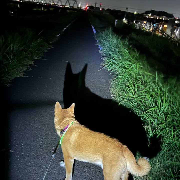 9c2fe8dc e45e 451b 8c2e a7428875bdf1 1756077529506