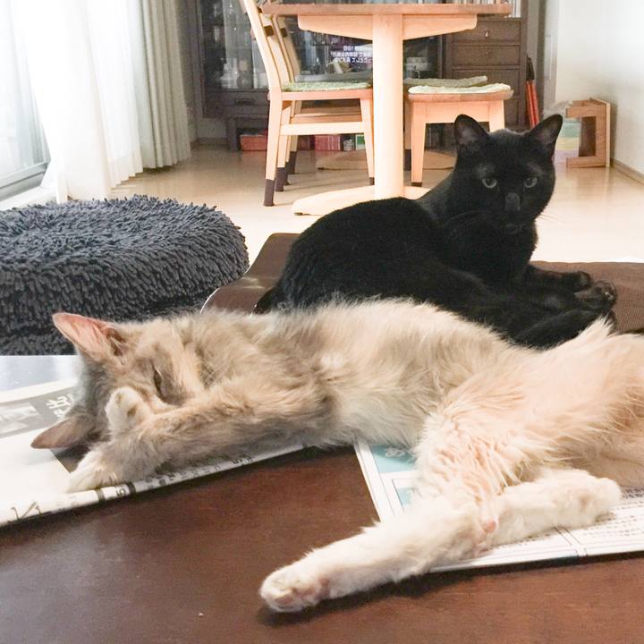 9c2ff258 460e 41f2 9159 e90d605cfe9c 1563614598474