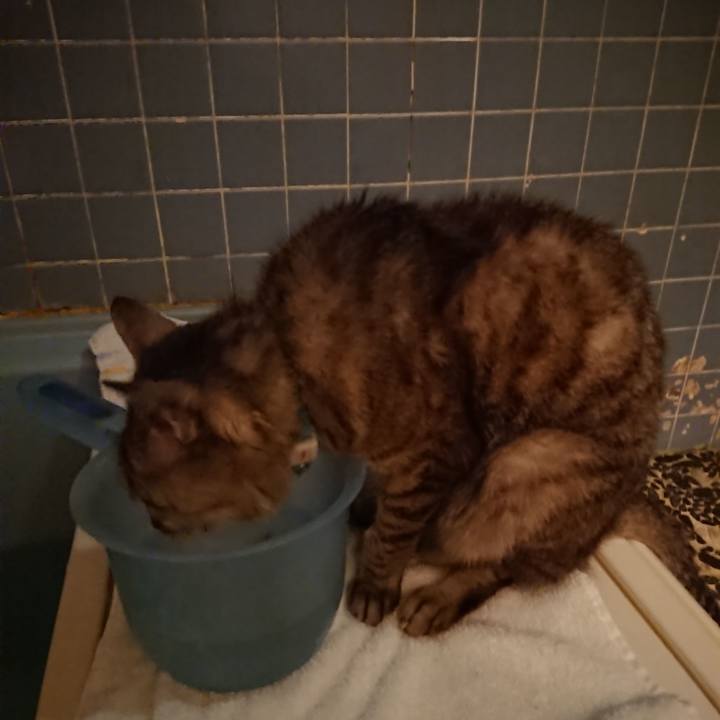 9c2ff636 b822 44c2 8e6d 6f5a9c4ce9f4 1568377185422