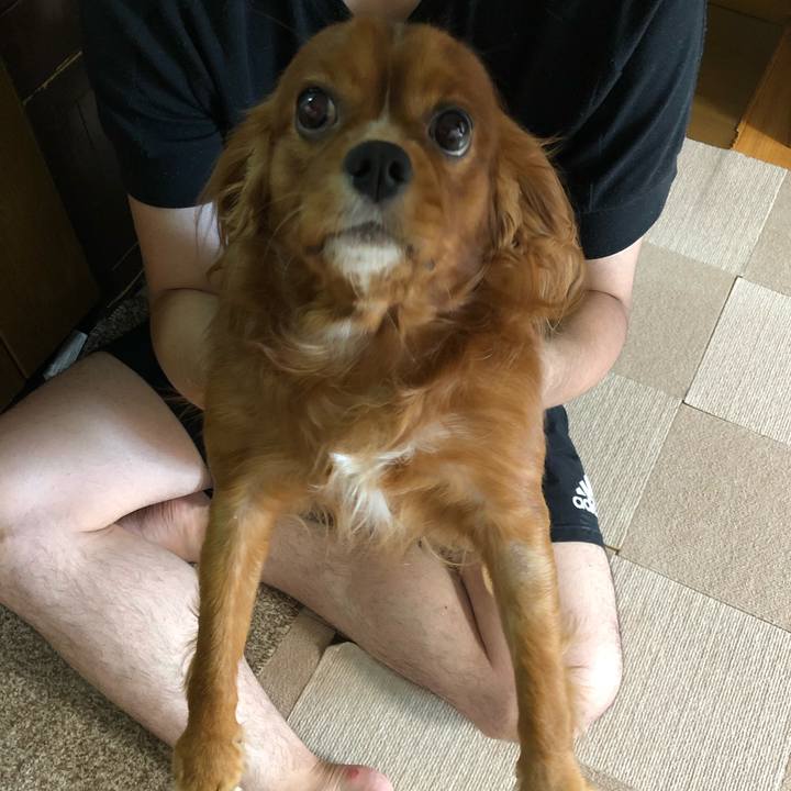 9c3016a0 da26 4e4a 8ed4 dc53a3e5eb59 1569198786284