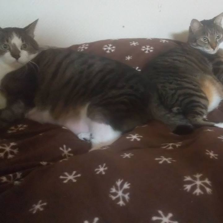 9c304655 2de9 4d89 baa2 0e4a9ff81b1e 1761402774900