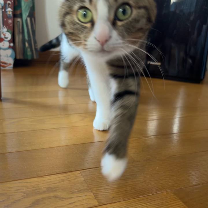 9c307190 65df 4ba1 acd2 76a9a6f82be5 1750073015551