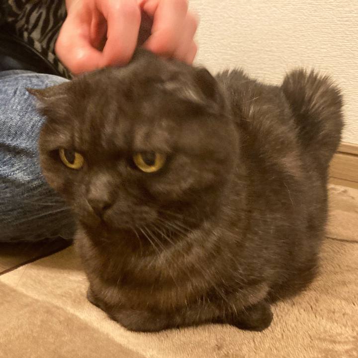 9c309882 90ad 4e5a aaf0 f0c5d686b1cb 1590158369609