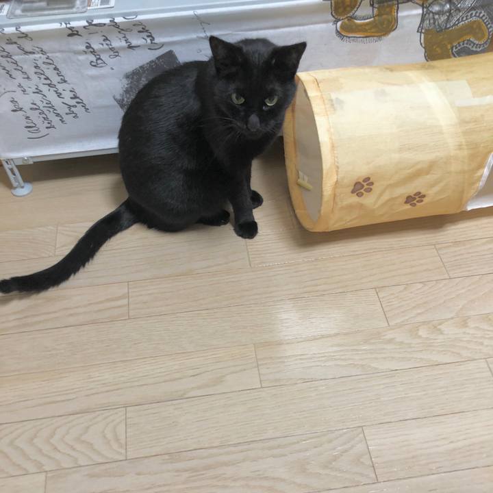 9c30b4dc 8ac4 4b6b 9bcf 39a3b328179d 1606831327766