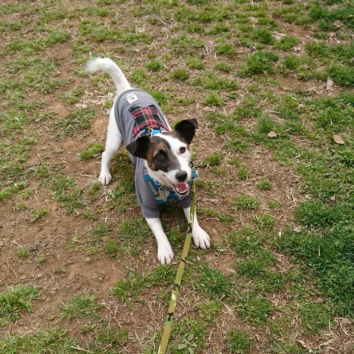 9c30bb56 d976 462a 818d b88c3a7914e9 1552817939510