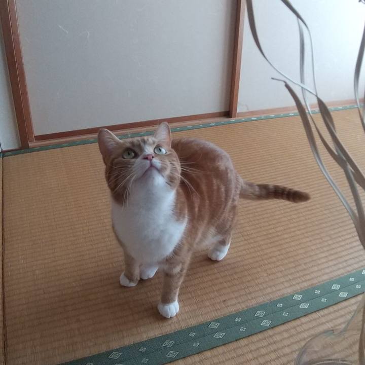 9c30ca02 209c 4f9d a42e 8b48a5572e7b 1700354626169