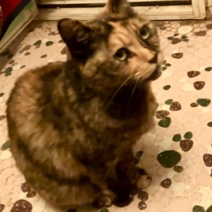 9c30d226 1f65 4398 92f4 19d521611e79 1741034683637