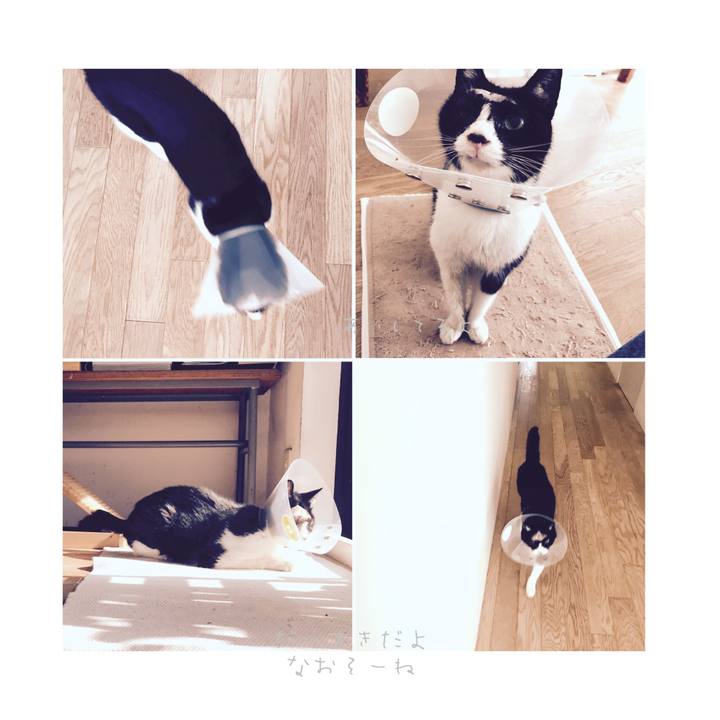 9c30f57a fedd 4f29 9ef8 3a0c18125fee 1579235105586