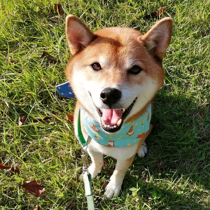 9c30f77e 819f 4d29 8659 17d9abc1e331 1632296753779