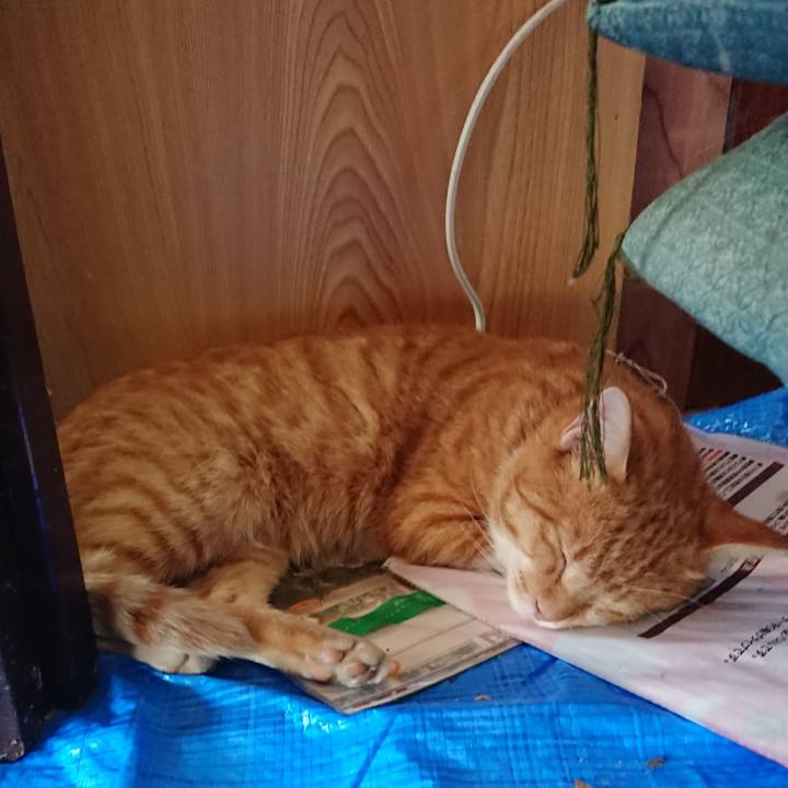 9c31767c ff15 4395 86c4 9eff1273f56f 1567921472079