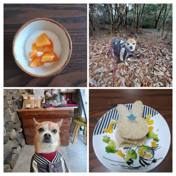 9c31e887 21a3 45d5 a399 aa3ffa0a3144 1671873115660