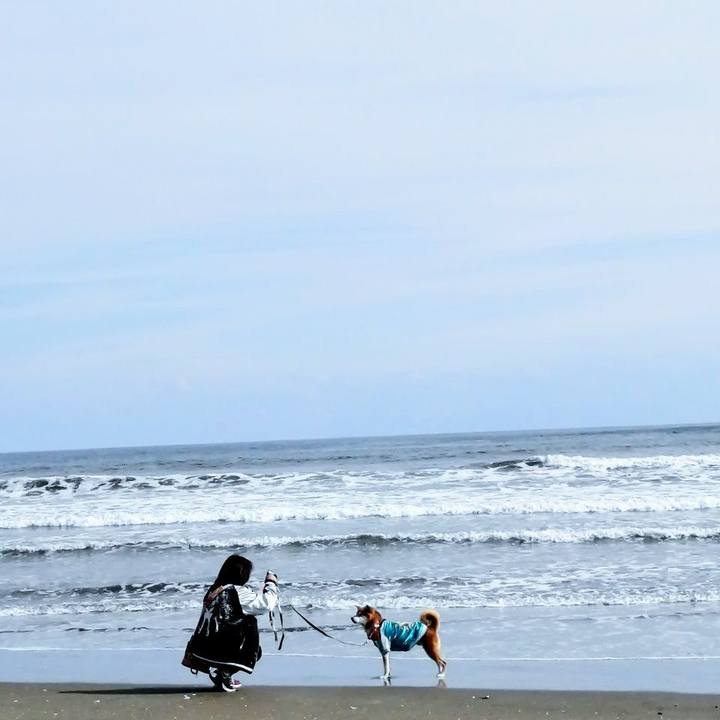 9c320bb1 d1c2 4ea9 8b4a a1f905ba5480 1707701955509