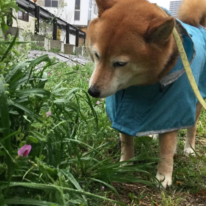 9c324c25 f650 4121 ac08 300effd4269c 1585380761712