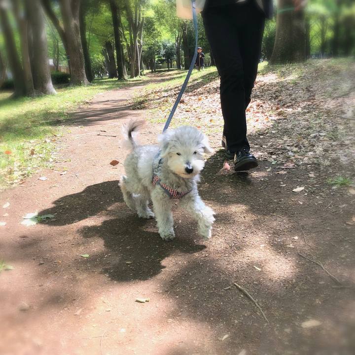 9c328054 e7aa 415c 93d5 1452eb1df1e5 1651324534850